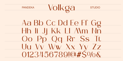 Volkga Font Poster 9