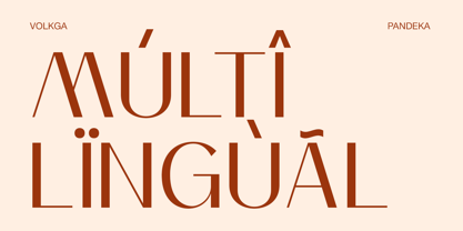Volkga Font Poster 7