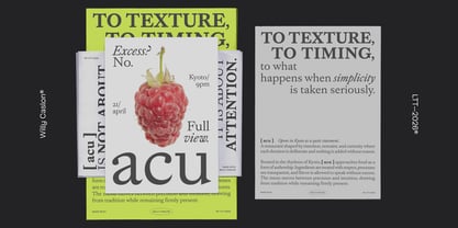 Willy Caslon Font Poster 11