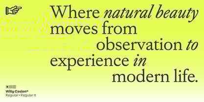 Willy Caslon Font Poster 4