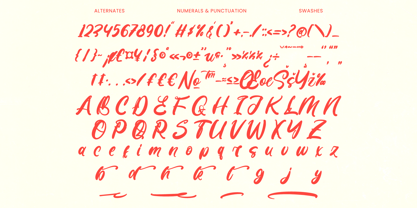 Monday Chitrus Font Poster 15