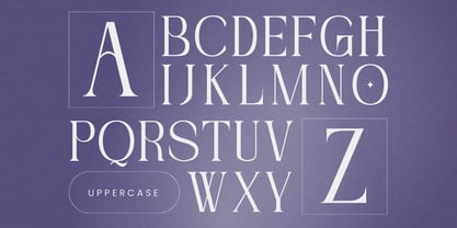 Nogite Modern Font Poster 11