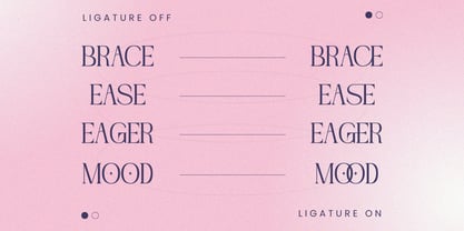 Nogite Modern Font Poster 13