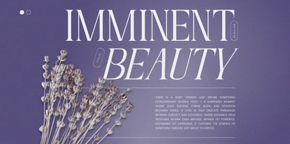 Nogite Modern Font Poster 5