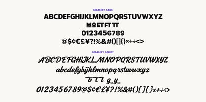 MC Segalecy Font Poster 6