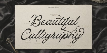 Nailong Lifemore Font Poster 8