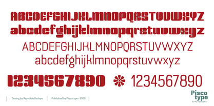 Bolera Font Poster 14