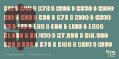 Bolera Font Poster 9