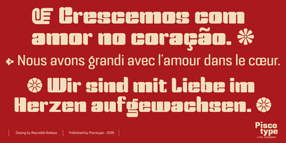 Bolera Font Poster 13