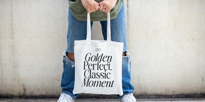 Monarch Heritage Font Poster 9