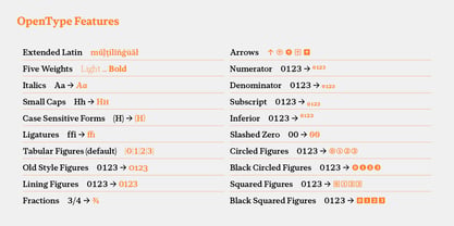 Foliant Serif Font Poster 11