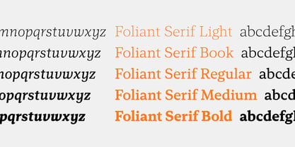 Foliant Serif Font Poster 8