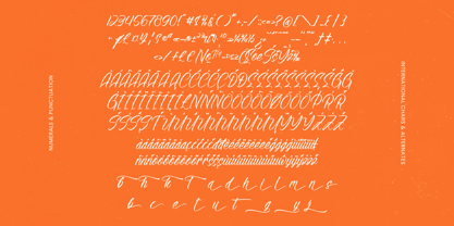 Alesteny Pojharu Font Poster 15