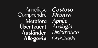 Mizhon Sans Font Poster 3