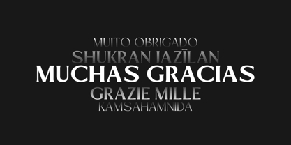 Mizhon Flare Font Poster 8