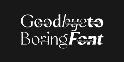 Mizhon Flare Font Poster 2