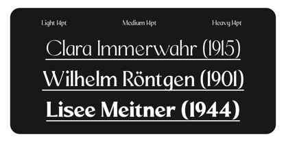 Mizhon Flare Font Poster 5