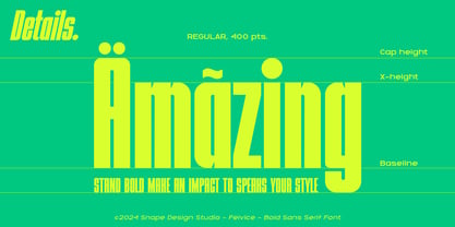 Felvice Font Poster 5