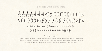 Rough Scribble Font Poster 15
