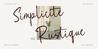 Rough Scribble Font Poster 13