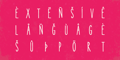 Volga Font Poster 2
