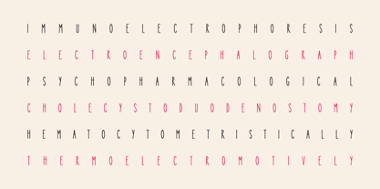 Volga Font Poster 12