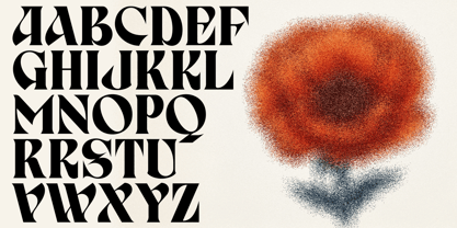 Birvase Font Poster 2