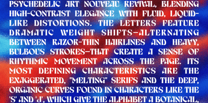 Birvase Font Poster 8