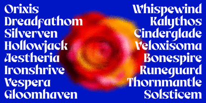 Birvase Font Poster 9