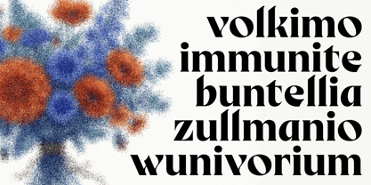 Birvase Font Poster 3