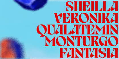 Birvase Font Poster 6