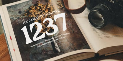 Restless Dynasty Font Poster 5