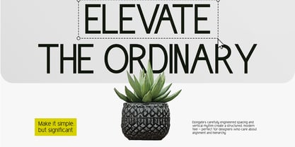 Elongate Font Poster 4