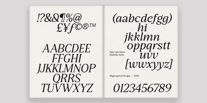 Autheka Font Poster 14