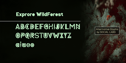 WildForest Font Poster 4