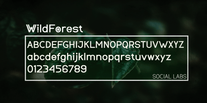 WildForest Font Poster 2