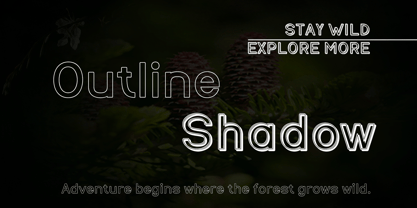 WildForest Font Poster 5