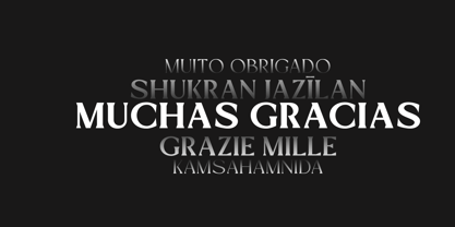 Mizhon Serif Font Poster 8