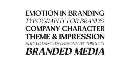Mizhon Serif Font Poster 7