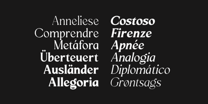Mizhon Serif Font Poster 3