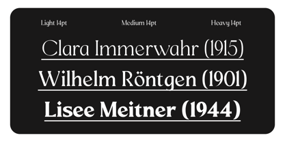 Mizhon Serif Font Poster 5