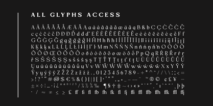 Mizhon Serif Font Poster 4