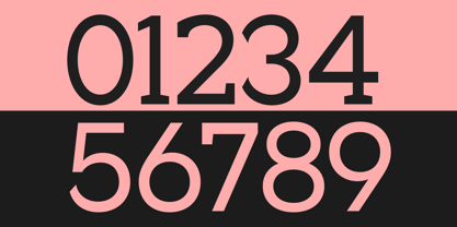 Noverion Slab Font Poster 11