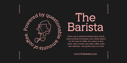 Noverion Slab Font Poster 8