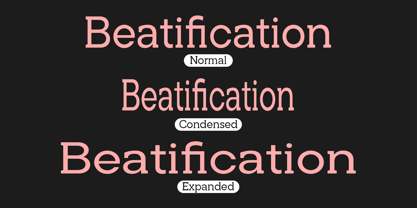 Noverion Slab Font Poster 10