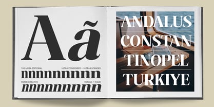 The Musa Editorial Font Poster 9