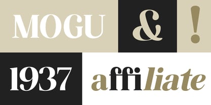 The Musa Editorial Font Poster 10