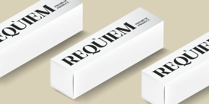 The Musa Editorial Font Poster 8