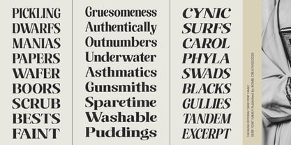 The Musa Editorial Font Poster 7
