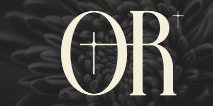 Farqey Denours Font Poster 8